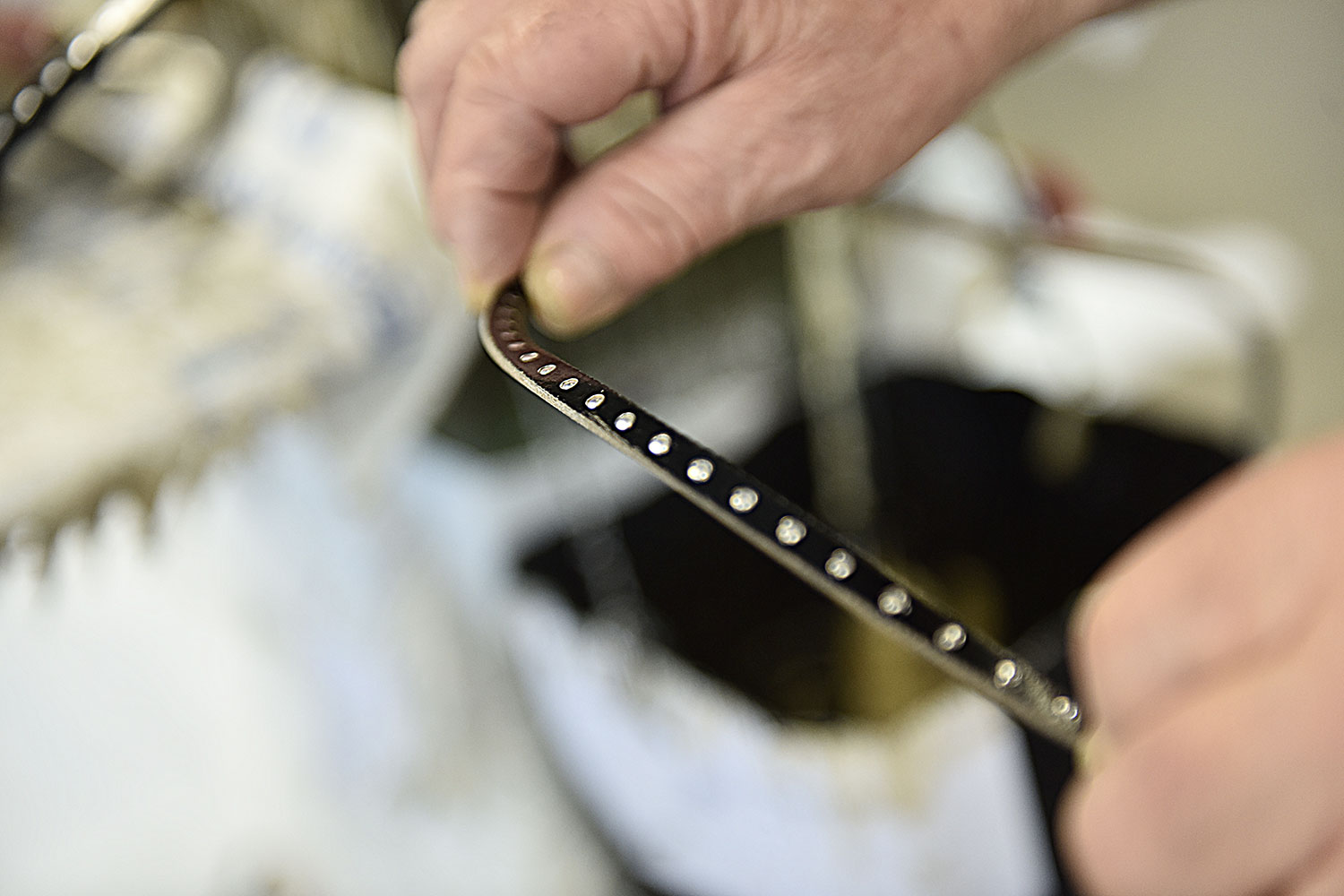 guardolificio michetti chia siamo 1