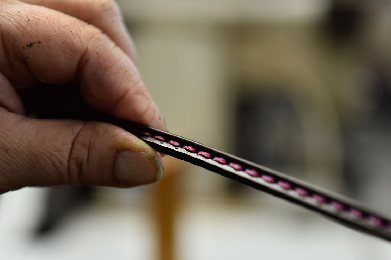 guardolificio michetti chia siamo 6