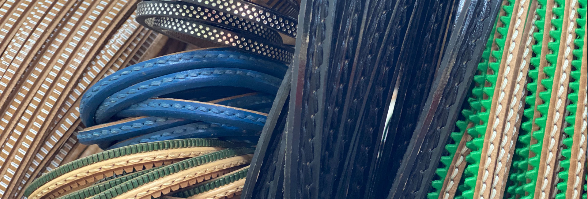 guardolo salpa micro