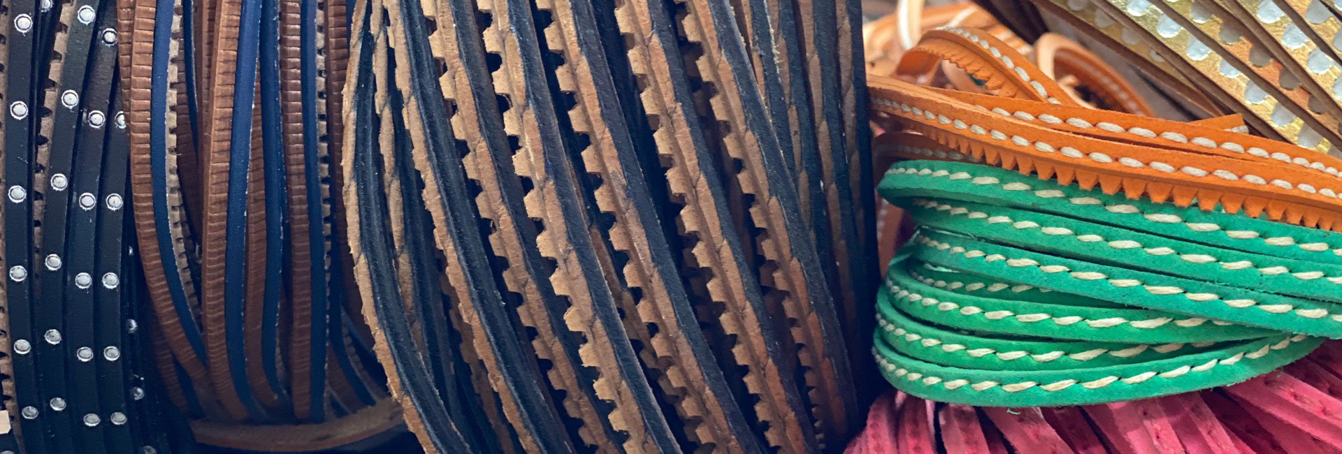 guardolo salpa micro