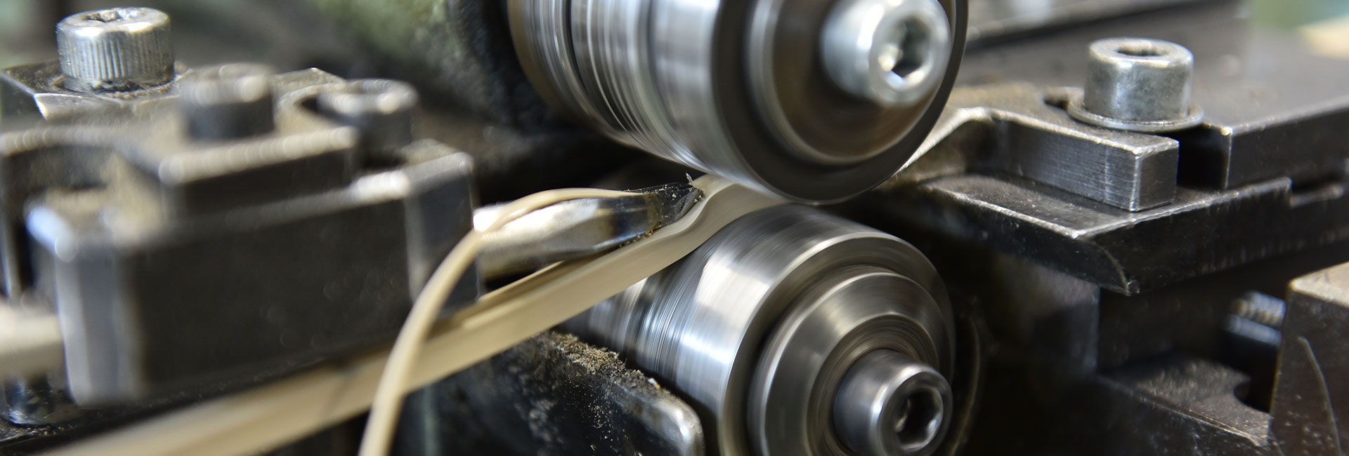 guardolo salpa preparazione